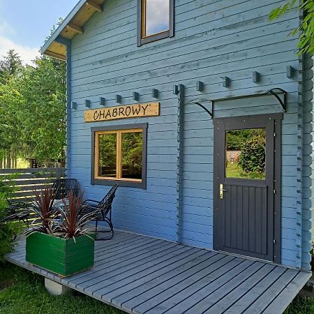 Swierkowe Siedlisko Węgorzewo Exterior foto